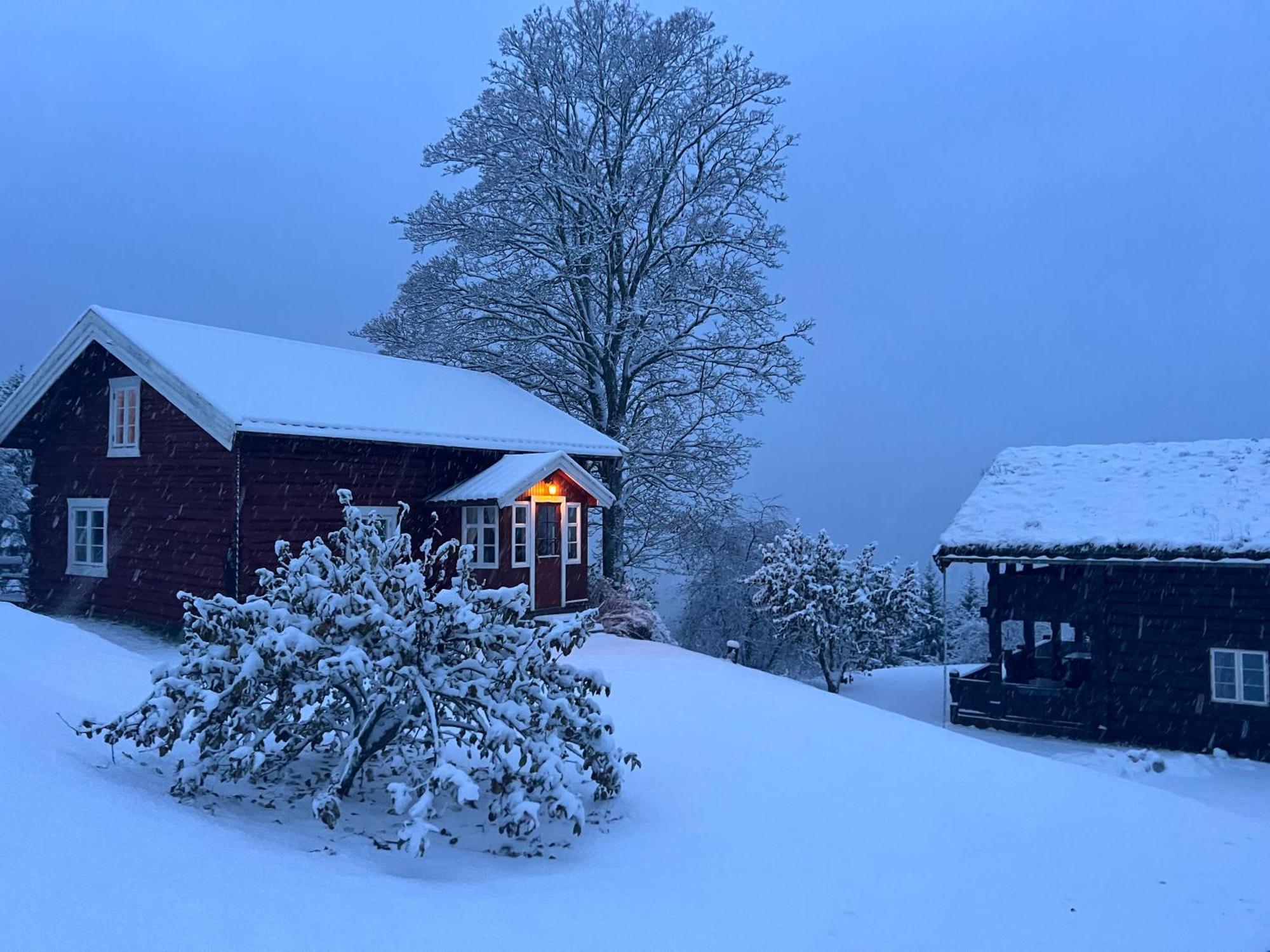 « Sofly Cottage », Le Charme Pur Noresund Exterior foto